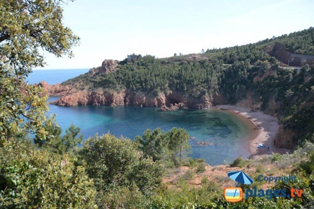 "Les Alizes" Cote Piscine Proche Bord De Mer Saint-Raphaël Exterior foto